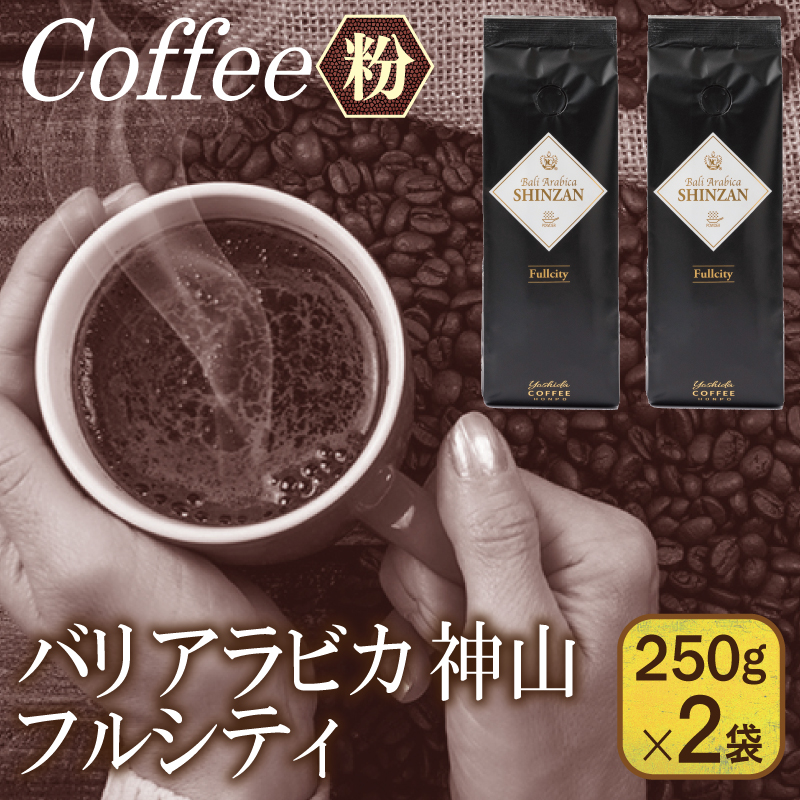 【スピード発送】バリアラビカ神山フルシティ 250g×2袋/粉 【珈琲 こーひー コーヒー 自家焙煎 オリジナル ギフト キャンプ アウトドア】 099H4678