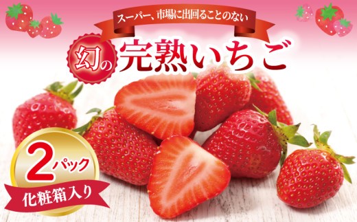 朝摘み完熟いちご 2パック化粧箱入り 099H1970