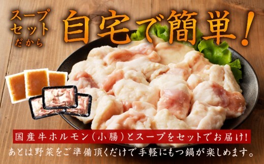 牛もつ鍋セット 9人前【国産 牛肉 ホルモン 塩こうじ スープセット モツ 鍋 高評価 冷凍 鍋セット 簡単調理】 010B1525-1