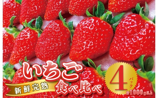完熟新鮮 いちご食べ比べ 4パック