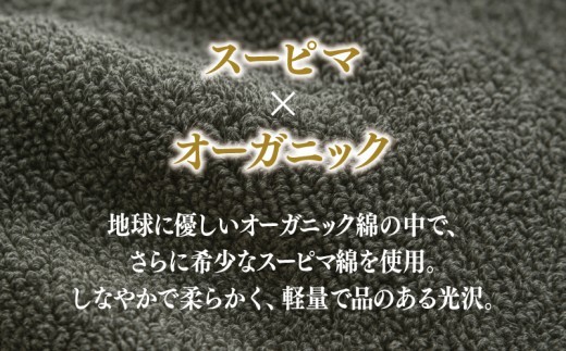 高級泉州タオル ラガマフィン バスタオル フェイスタオル グレー 各1枚 099H1519