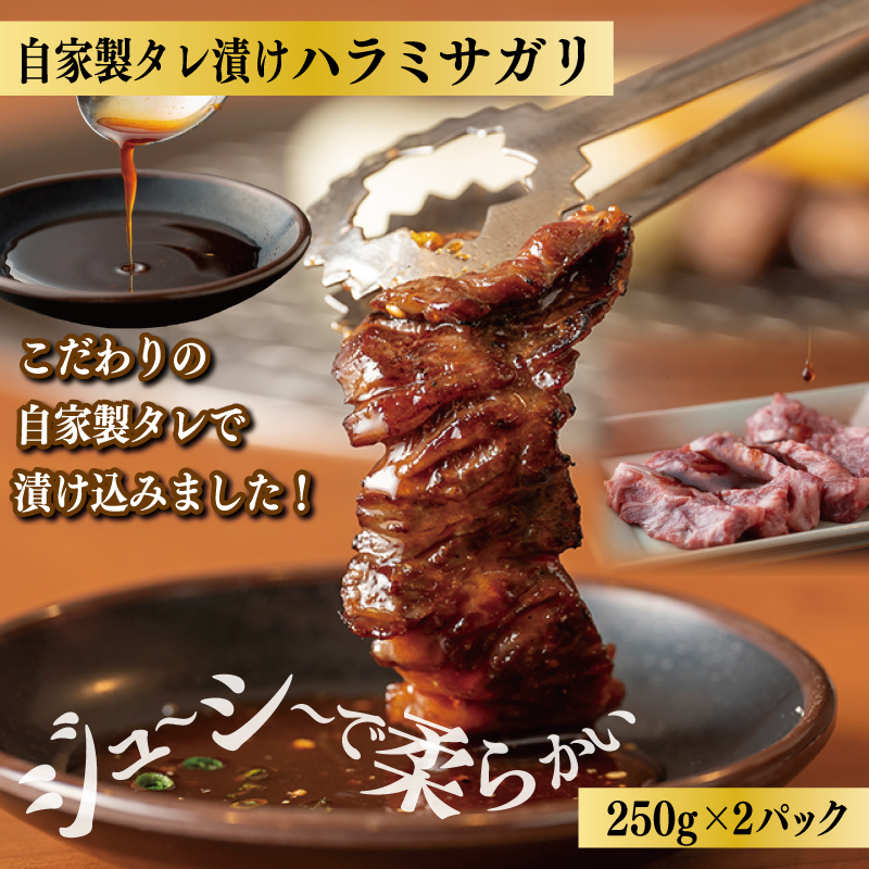 焼肉問屋いちよし 店主厳選 人気焼肉 福袋（牛たん/ハラミ/中落カルビ） 099H4734