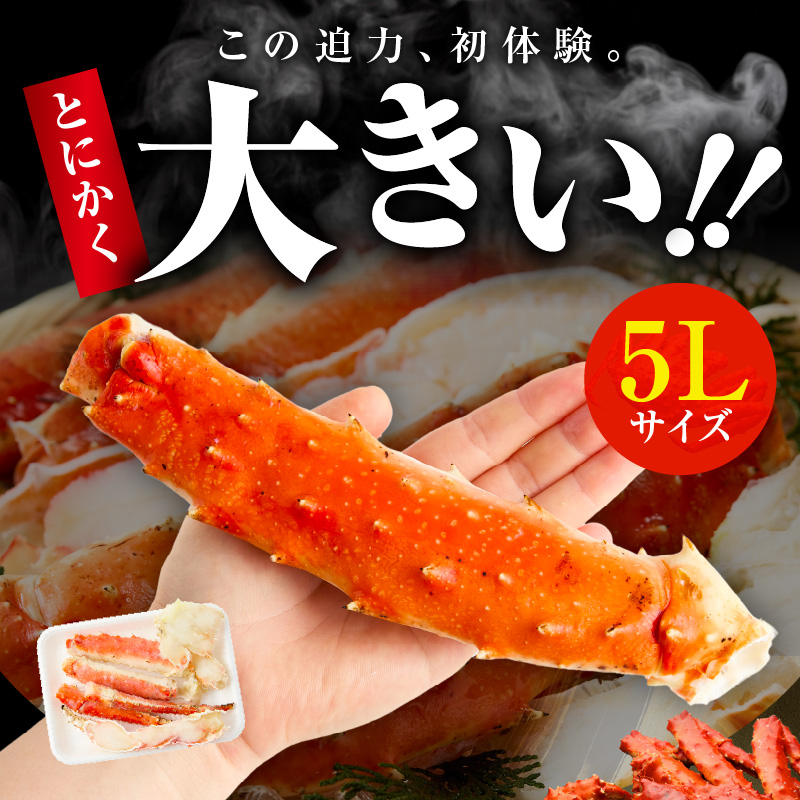ボイルタラバガニ 1kg 特大 5Lサイズ カット済み【ボイル カニ かに 1kg 訳あり 部位 サイズ不揃い 蟹 たらば蟹 タラバ蟹 タラバカニ 海鮮 魚介】 G4133-1