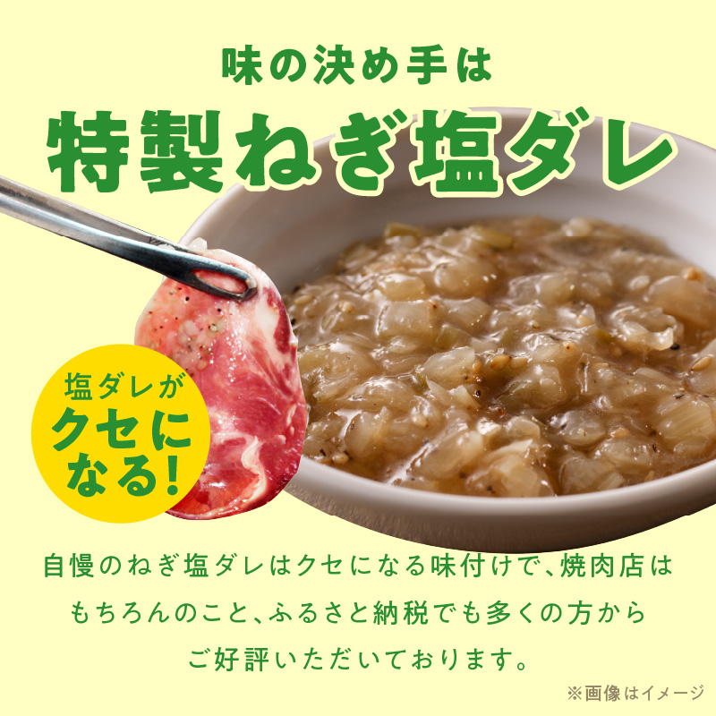【1位獲得】牛たん 1.5kg ねぎ塩味 小分け 250g×6【成型 牛タン 牛肉 焼肉 BBQ 薄切り ぎゅうたん スライス 訳あり サイズ不揃い】 015B686