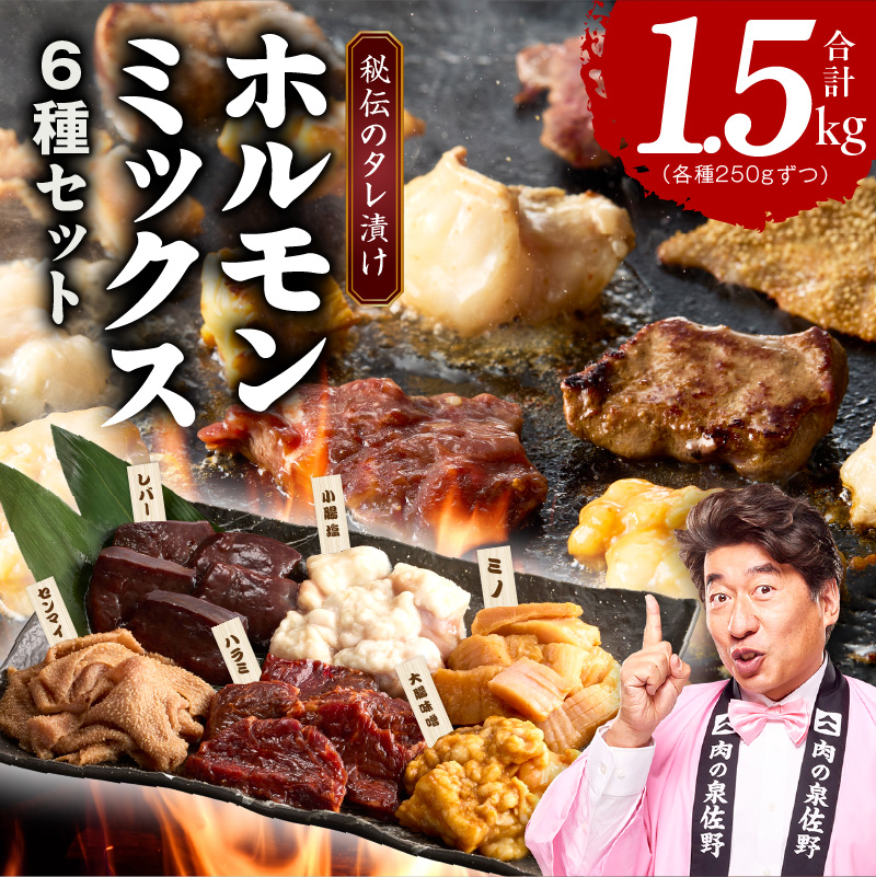 ホルモンミックス 6種セット 合計 1.5kg