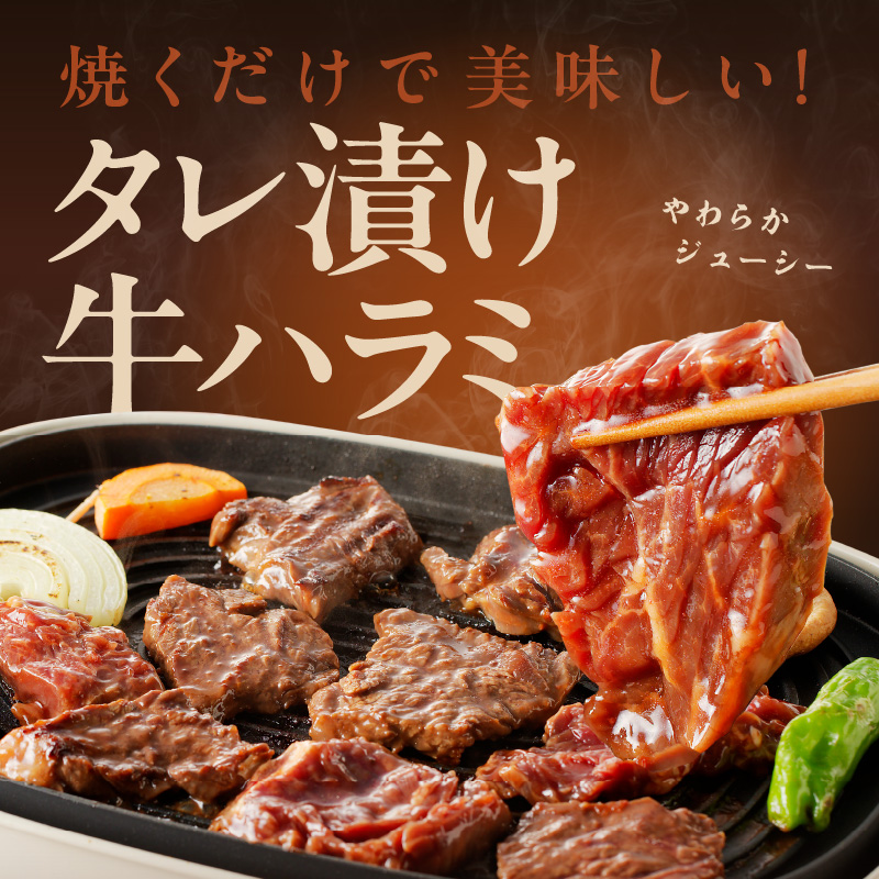 牛ハラミ 1.5kg（300g×5P）【秘伝の赤タレ 泉州元気ハラミ 牛肉 はらみ 小分け 焼肉 お弁当 BBQ 訳あり ワケアリ わけあり サイズ不揃い 規格外 TVで話題】 099H4565-1