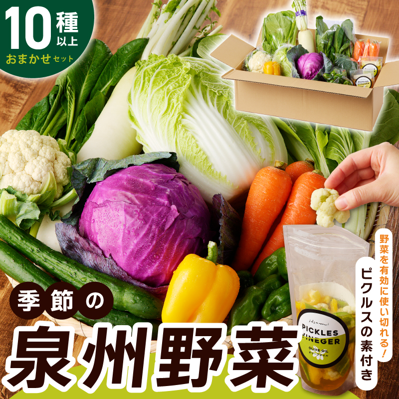 季節の泉州野菜 10種