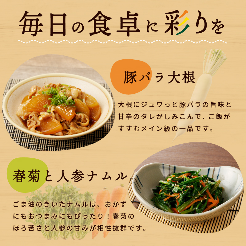 【スピード発送】季節の泉州野菜 10種 おまかせセット ピクルスの素 2袋付き いずみピクルス NSW 010B1544