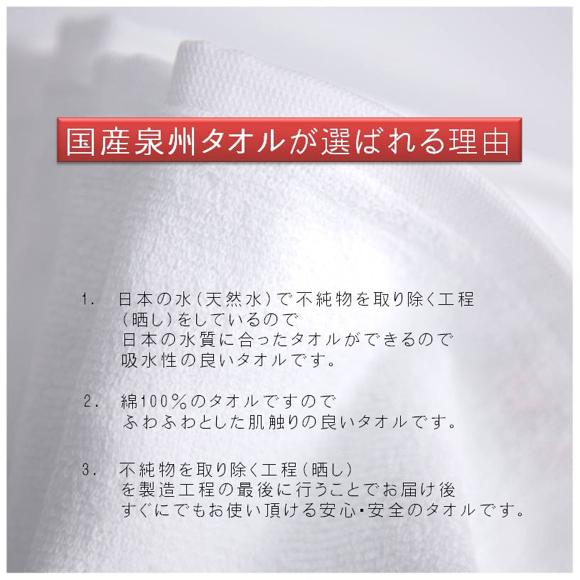ボーダーカラー ガーゼパイルタオル 4枚【泉州タオル 国産 吸水 普段使い シンプル 日用品 家族 ファミリー】 G4399