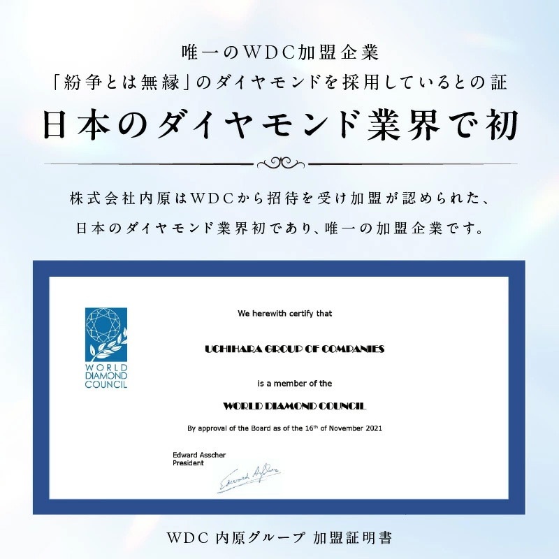 【高島屋選定品】プラチナダイヤモンド ペンダント（ダイヤ合計 0.35ct）【鑑別書付き ARC-EN-CIEL (アルカンシェル) ジュエリー プレゼント ギフト ファッション】 TUC0007-1