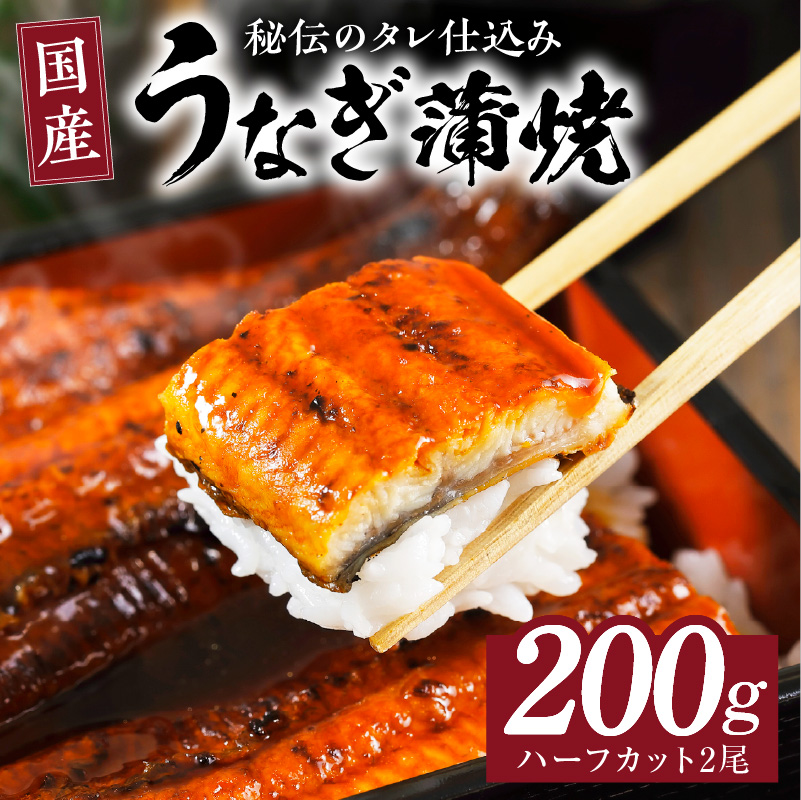 うなぎ ハーフカット 合計200g