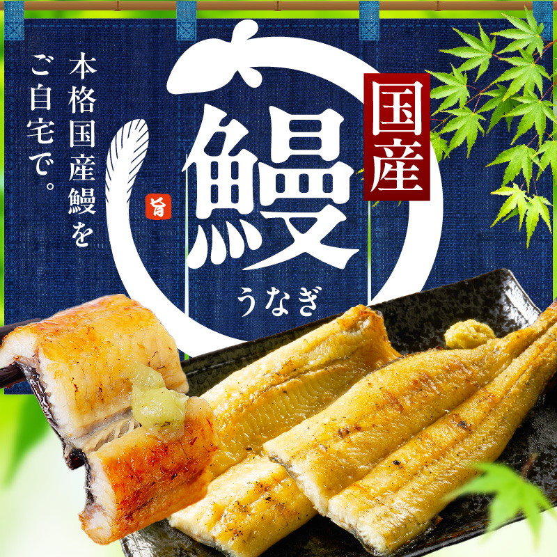 【白醤油焼き】国産うなぎ 合計480g【160g×3尾 せいろ蒸し 備長炭 鰻 ウナギ 手焼き レンジ 温めるだけ 簡単調理】 G4171-1