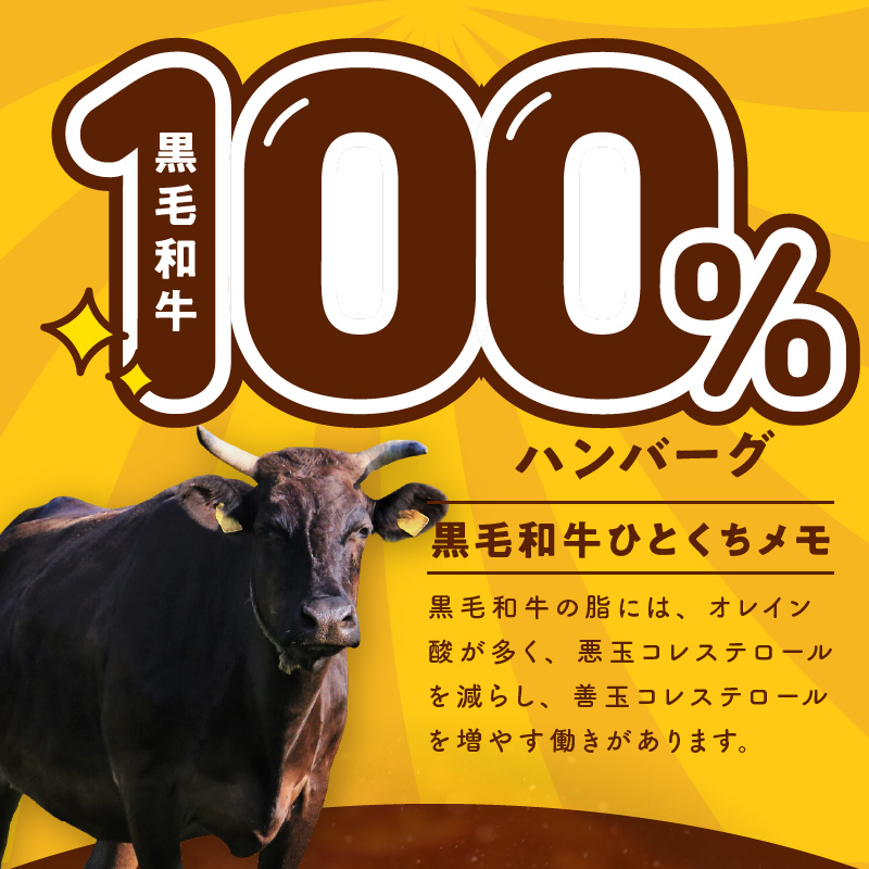 黒毛和牛100％ 極み生ハンバーグ（180g）×20個 CFX0124
