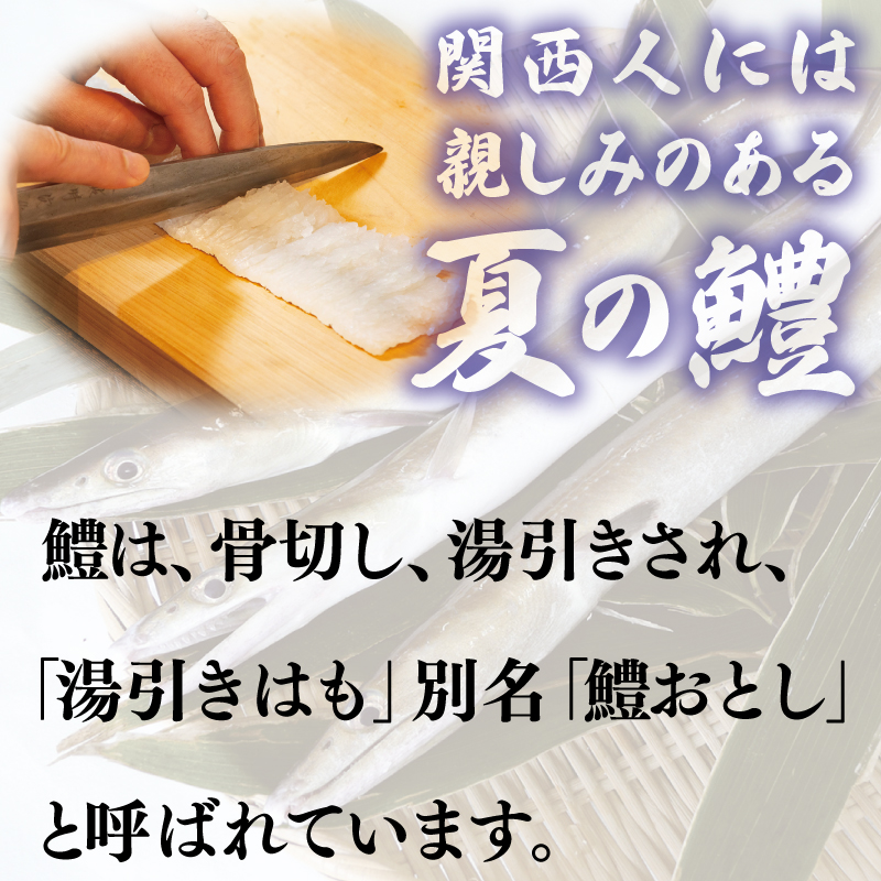 鱧おとし 350g【からし酢みそ 梅肉付き】 G4180-1