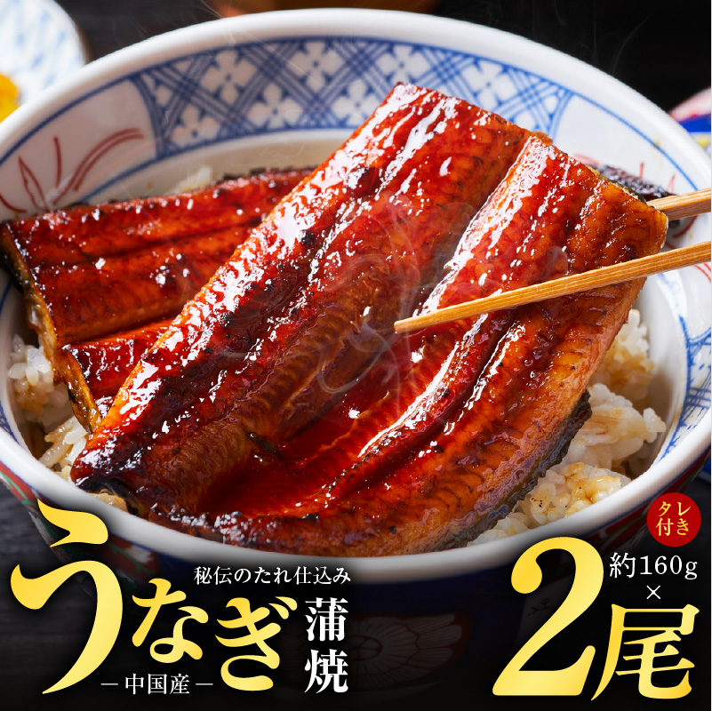 うなぎ蒲焼 合計320g【約160g×2尾 特製タレ付 鰻 ウナギ 中国産 レンジ 温めるだけ 簡単調理 ふわふわ 炭火焼き 備長炭 手焼き】 G4194-1