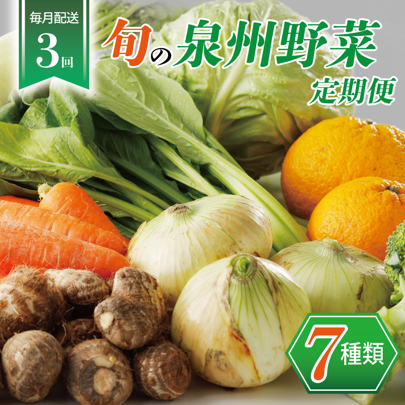 泉州野菜 定期便 7種類×全3回 099Z111