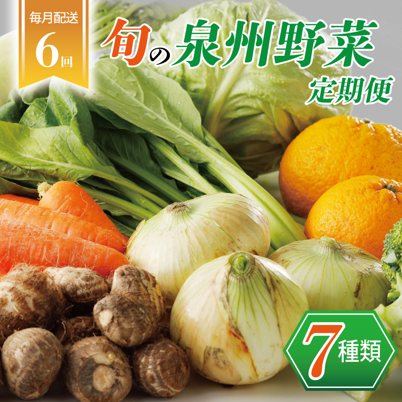泉州野菜 定期便 7種類×全6回 099Z113