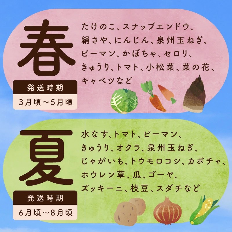 泉州野菜 定期便 7種類×全6回【毎月配送 国産 野菜 やさい 詰め合わせ セット 新鮮 旬 ええもん ていきびん】 099Z113