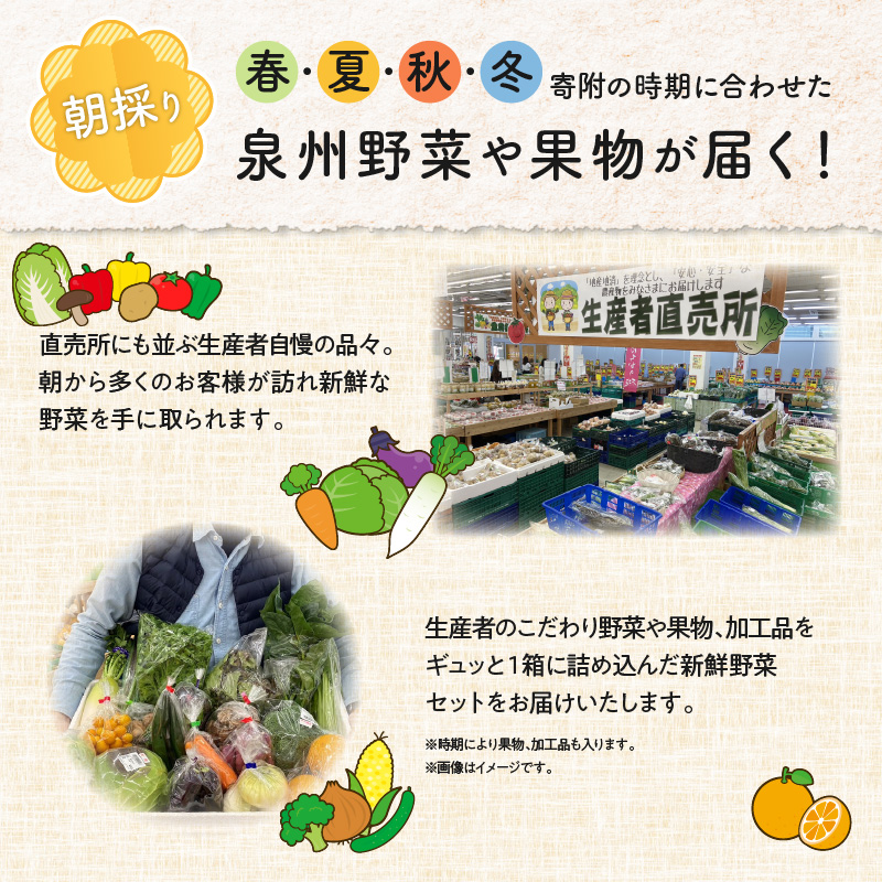泉州野菜 定期便 15種類以上×全6回【毎月配送 国産 野菜 やさい 詰め合わせ セット 新鮮 旬 ええもん ていきびん】 099Z115