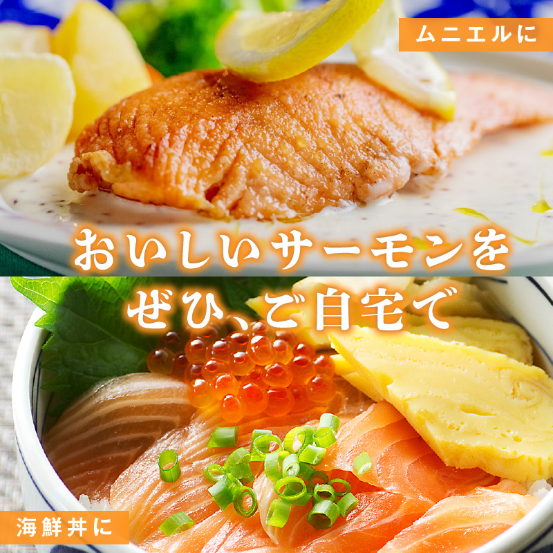 タスマニアサーモン 1kg【アトランティクサーモン 真空パック 小分け ブロック 訳あり サイズ不揃い 上質 刺身 海鮮丼 サラダ 冷凍】 G4181
