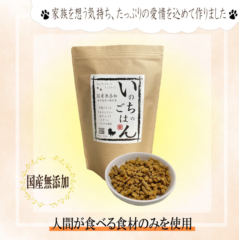 【定期便】国産 無添加 ドッグフード「いのちのごはん」500g×全3回【毎月配送コース】 099Z327
