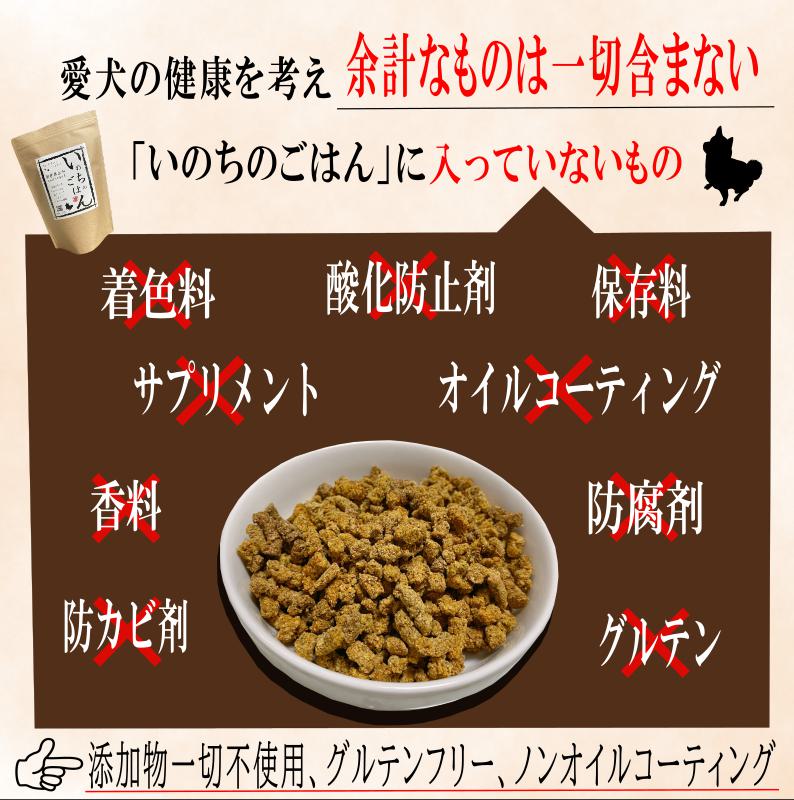 【定期便】国産 無添加 ドッグフード「いのちのごはん」500g×全3回【毎月配送コース】 099Z327