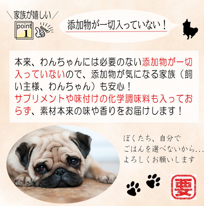 【定期便】国産 無添加 ドッグフード「いのちのごはん」500g×全3回【毎月配送コース】 099Z327