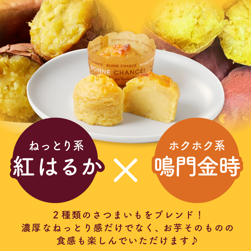 芋匠さのや 大人気セット（濃厚スイートポテト 12個／芋けんぴ） 099H2654