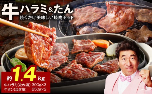 大 ファミリー向け 焼肉セット 牛たん 牛ハラミ肉