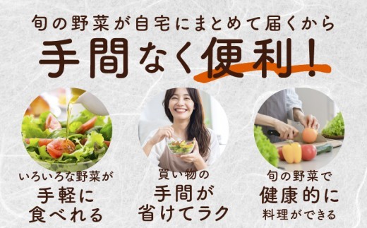10種類の新鮮野菜 定期便 全3回 詰め合わせ 国産【毎月配送コース】 099Z184