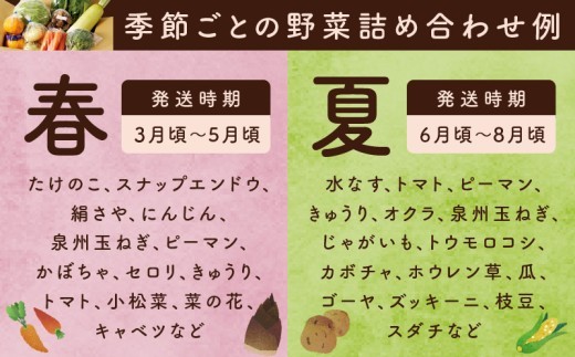 10種類の新鮮野菜 定期便 全3回 詰め合わせ 国産【毎月配送コース】 099Z184