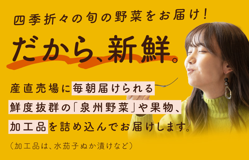 10種類の新鮮野菜 定期便 全3回 詰め合わせ 国産【毎月配送コース】 099Z184