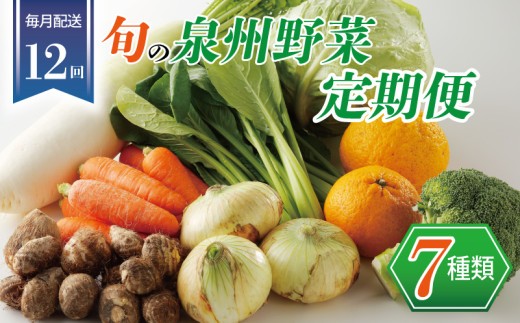 泉州野菜 定期便 全12回 7種類 詰め合わせ