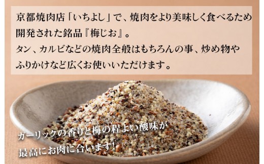 【スピード発送】焼き肉専門店 梅じお ガーリック スパイス 90g×1袋 お試し W118