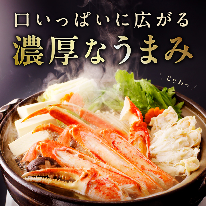 カニ ボイルズワイ蟹 800g(400g×2肩)約2-3人前 昆布仕立て G4189-1