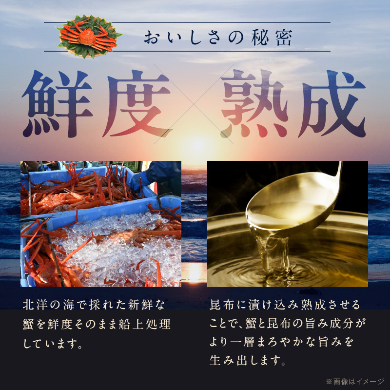 カニ ボイルズワイ蟹 800g(400g×2肩)約2-3人前 昆布仕立て G4189-1