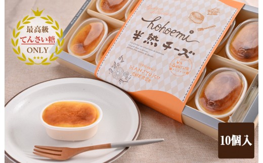 半熟チーズ10個入り 099H2833