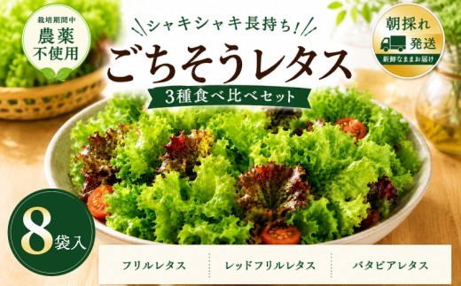 ごちそうレタス 3種食べ比べセット 8袋