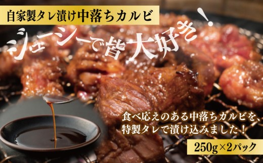 焼肉問屋いちよし 店主厳選 人気焼肉 定期便 全3回【毎月配送コース】 099Z645