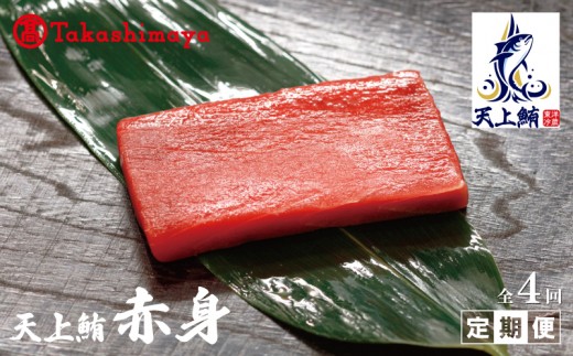 天上鮪 赤身 定期便 全4回 099Z611
