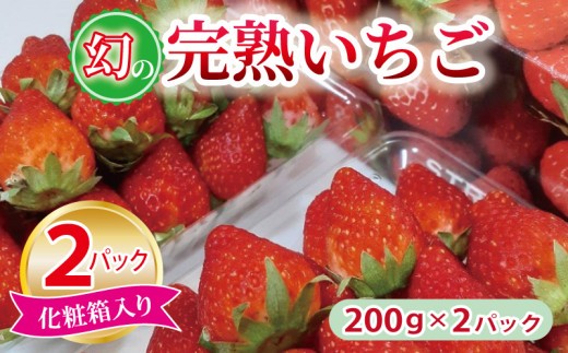朝摘み完熟いちご 2パック