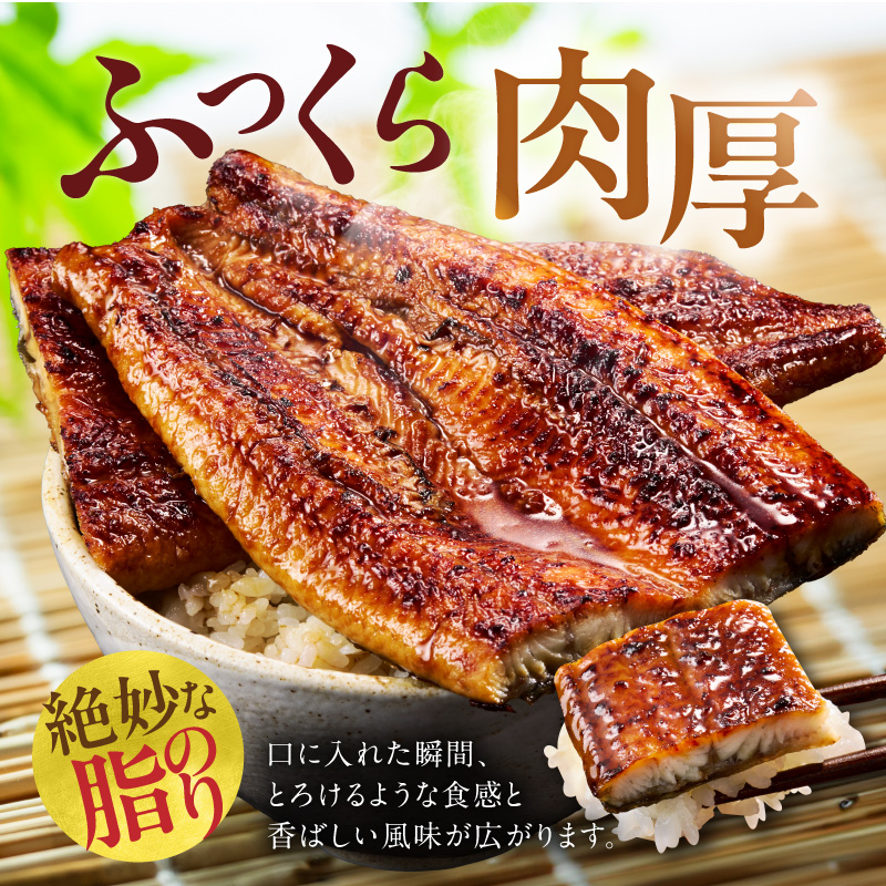 うなぎ 蒲焼き 暴れ盛り 合計 900g【鰻 真空パック 簡単調理 訳あり サイズ不揃い 人気 惣菜 うな重 うな丼 ひつまぶし にも】 G3616-1