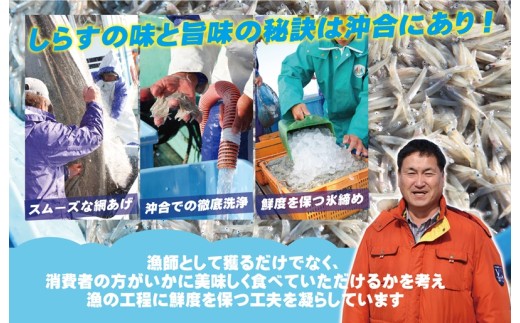 【スピード発送】ちりめん山椒しらす 600g【小分け 150g×4P シラス しらす sirasu 海鮮 人気 おすすめ 産地直送】 G2184