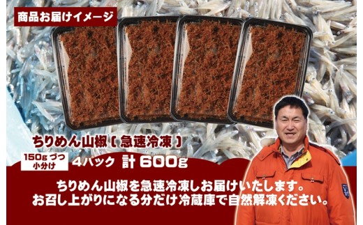 【スピード発送】ちりめん山椒しらす 600g【小分け 150g×4P シラス しらす sirasu 海鮮 人気 おすすめ 産地直送】 G2184