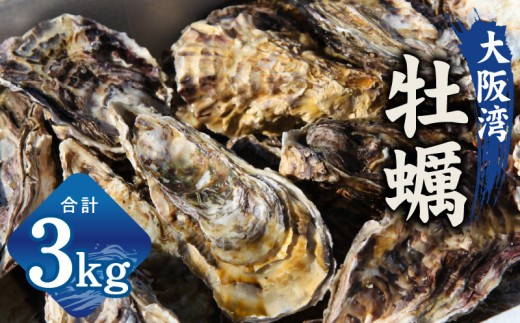 牡蠣 3kg