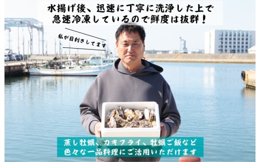 【スピード発送】牡蠣 3kg【かき カキフライ 冷凍 加熱用 殻付き 魚介類 海鮮 大阪湾 産地直送】 G2187