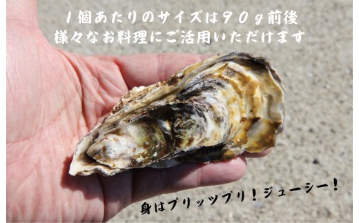 【スピード発送】牡蠣 3kg【かき カキフライ 冷凍 加熱用 殻付き 魚介類 海鮮 大阪湾 産地直送】 G2187