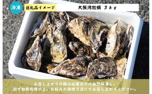 【スピード発送】牡蠣 3kg【かき カキフライ 冷凍 加熱用 殻付き 魚介類 海鮮 大阪湾 産地直送】 G2187