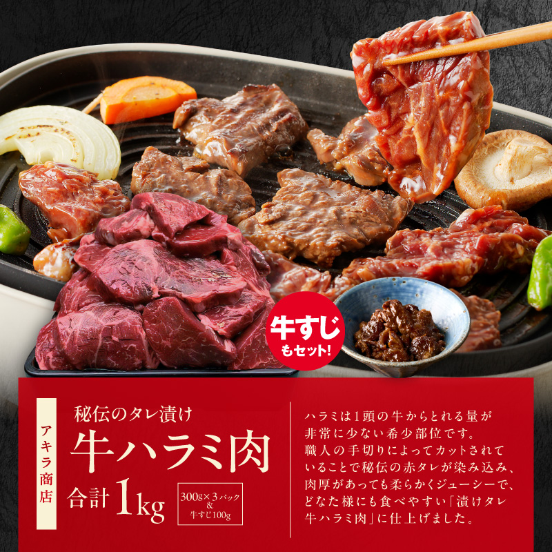 1位獲得の肉 福袋 3種 総量 2.5kg【牛肉 焼肉 牛タン ハラミ 牛ヒレ お肉 セット 訳あり サイズ不揃い 別送】 099S031