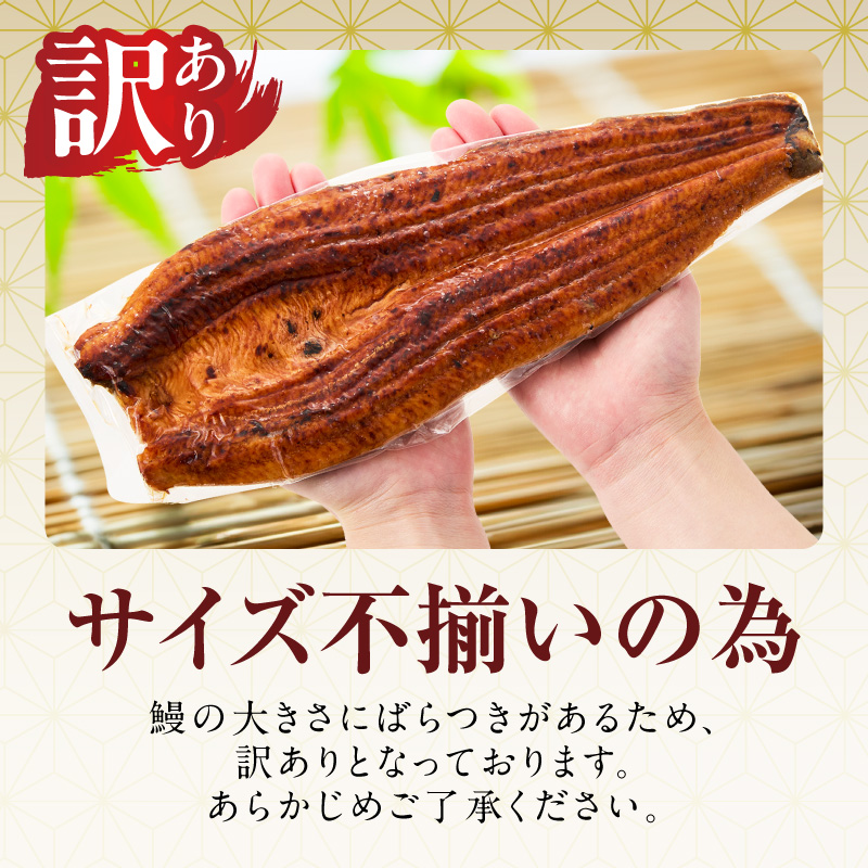 うなぎ 蒲焼き 暴れ盛り 合計 600g【鰻 真空パック 簡単調理 訳あり サイズ不揃い 人気 惣菜 うな重 うな丼 ひつまぶし にも】 G3615-1